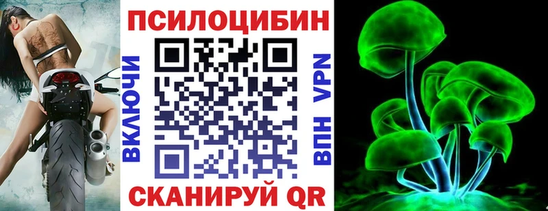 Галлюциногенные грибы Cubensis  Купить закладки  Видное 